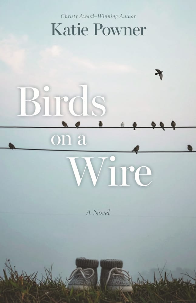 Birds on a Wire cover